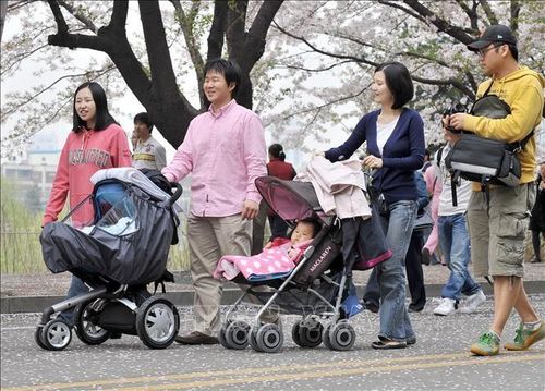 Cha mẹ đưa trẻ nhỏ đi dạo trong công viên ở Seoul, Hàn Quốc. Ảnh: AFP/TTXVN