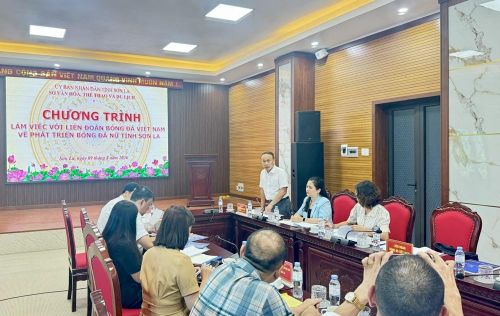 Tổng Thư ký VFF Nguyễn Văn Phú phát biểu tại buổi làm việc