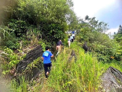 Đường lên hang động Ngải Phóng Chồ còn nguyên sơ, bao quanh bởi núi đá và thảm thực vật xanh mướt, mang đậm nét hoang sơ vùng cao
