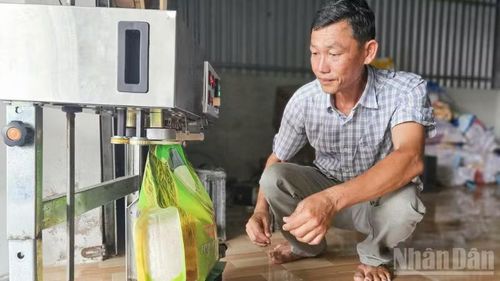 Gạo sạch Minh Quân từ sản xuất hạt lúa sang xây dựng sản phẩm có thương hiệu và giá trị gia tăng. (Ảnh: VĂN ÚT)