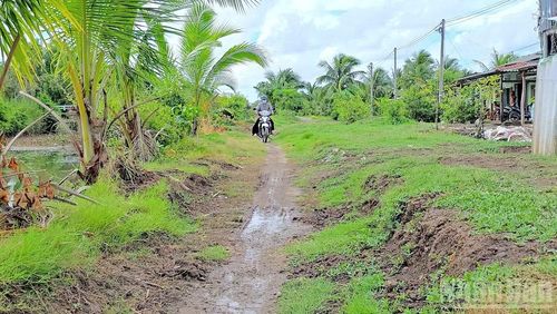 Người dân tuyến bờ Đông Kênh Đê trong phải chật vật di chuyển trên con đường trơn trượt, tiềm ẩn nhiều nguy cơ tai nạn, nhất là người già, trẻ em và phụ nữ mang thai. (Ảnh: Hữu Tùng, tháng 7/2026)