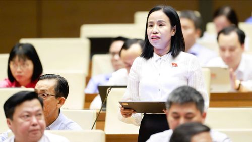 Đại biểu Quốc hội thảo luận tại hội trường về dự án Luật Phổ biến, giáo dục pháp luật (sửa đổi).