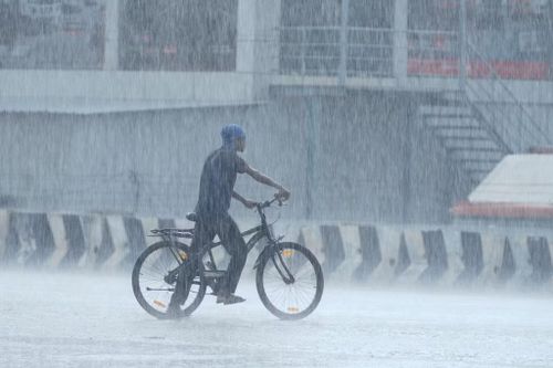 Một người đi xe đạp chờ qua đường dưới mưa ở Chennai, Ấn Độ, ngày 9/8/2026. Ảnh: AP/Mahesh Kumar A.
