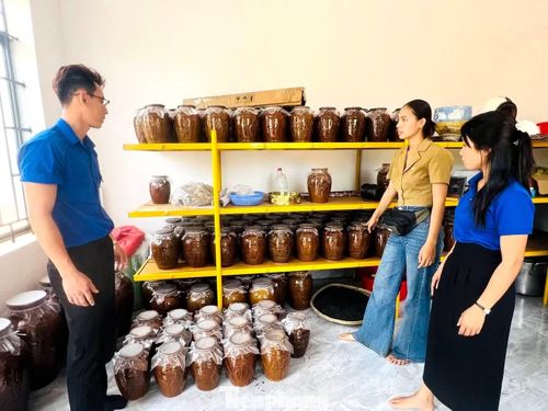 Mô hình sản xuất rượu cần của chị H'Yip.