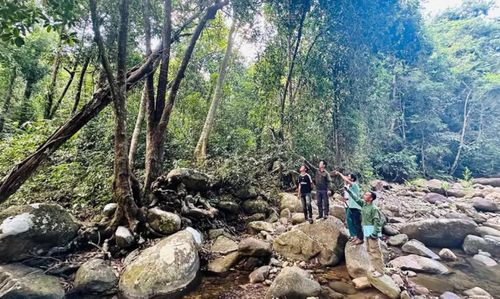 Những người từng xâm hại rừng, nay trở thành người giữ bình yên cho những cánh rừng. Ảnh: C.H