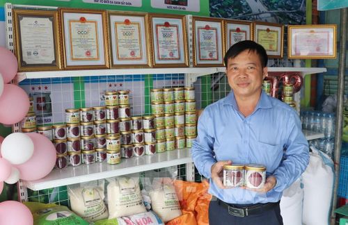 Sản phẩm thanh long sấy khô của Hợp tác xã Thiên Phúc đạt OCOP và có mặt trên các sàn thương mại điện tử. Ảnh: Hữu Chí - TTXVN