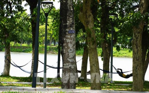 Người dân mắc võng ở Công viên cây xanh bờ Bắc sông Hương, thành phố Huế, để nghỉ ngơi tránh nắng nóng. Ảnh: Nguyên Lý - TTXVN