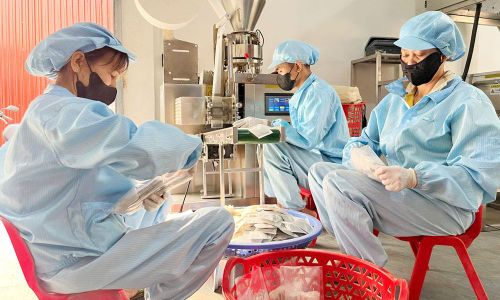  Mô hình sản xuất của hội viên phụ nữ xã Tiên Lục tạo việc làm cho nhiều lao động nữ. 
