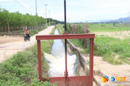 Thành phố đang xây dựng phương án ứng phó với hạn, mặn, đảm bảo nhu cầu sử dụng nước ở hạ du mà tránh bị phụ thuộc vào thủy điện. Ảnh: HOÀNG HIỆP