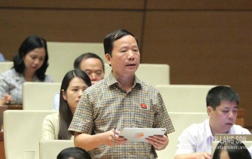 Đại biểu Nguyễn Đặng Ân, Phó Trưởng Đoàn chuyên trách Đoàn ĐBQH tỉnh phát biểu thảo luận tại hội trường