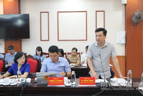 Lãnh đạo Ban Văn hóa - Xã hội HĐND tỉnh phát biểu tại buổi làm việc