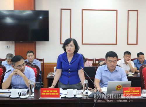Lãnh đạo Văn phòng Đoàn đại biểu Quốc hội và HĐND tỉnh phát biểu tại buổi làm việc