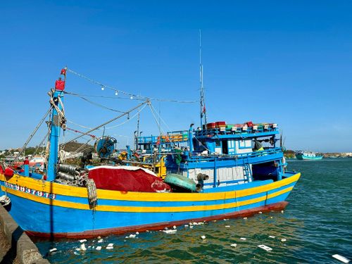 Tàu cá của ngư dân Lâm Đồng chuẩn bị ra khơi tại Cảng cá Phú Hải