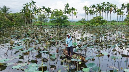 Nhiều mô hình kinh tế tăng thu nhập ở Nam Thành