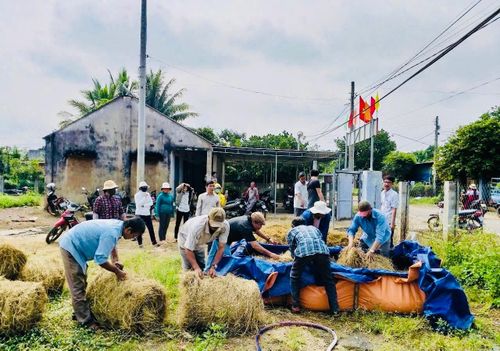 Lớp thực hành trồng nấm rơm cho lao động nông thôn tại Trung tâm GDNN-GDTX Đức Linh