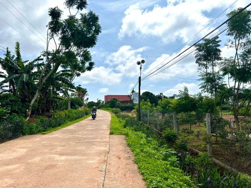 "Bộ mặt" vùng nông thôn nhiều xã trên địa bàn tỉnh ngày càng khởi sắc