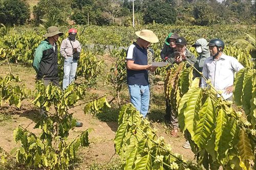 Chính quyền xã Đắk Mil và các đơn vị liên quan kiểm tra thực tế công tác giải phóng mặt bằng tại dự án Trạm biến áp