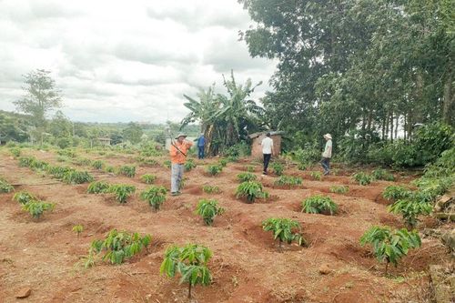 Xã Đắk Mil cùng người dân kiểm tra thực tế khu vực xây dựng trạm biến áp sắp tới