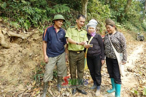Cán bộ Kiểm lâm và người dân bản Có Thé, phường Chiềng An kiểm tra diện tích rừng trên địa bàn.