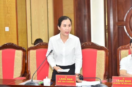 Lãnh đạo Sở Tài chính phát biểu ý kiến tại cuộc họp.