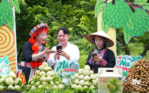 Na Võ Nhai được giới thiệu trực tiếp tới người tiêu dùng trên nền tảng số.