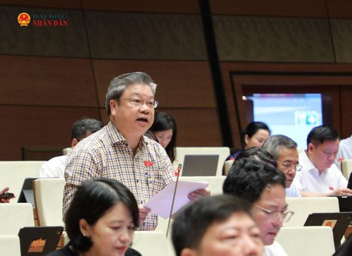 ĐBQH Bùi Văn Dũng (Thanh Hoá) phát biểu. Ảnh: Khánh Duy