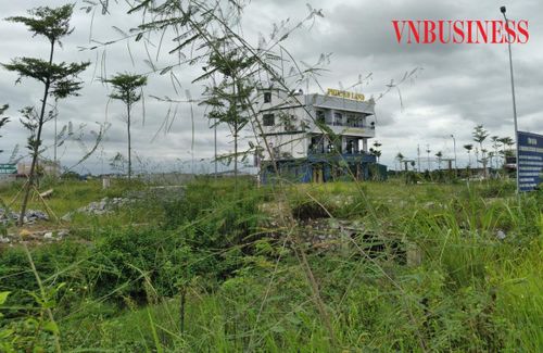 Đất bỏ hoang đang bị đề xuất đánh thuế nhằm siết hoạt động đầu cơ (Ảnh minh họa).