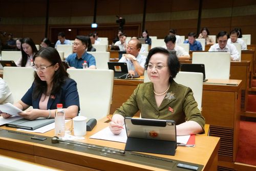 Đại biểu dự phiên thảo luận.