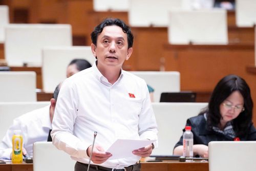 Đại biểu Trần Việt Anh (Đoàn ĐBQH TP Hà Nội) phát biểu thảo luận.
