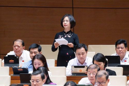 Đại biểu Hoàng Ngân Hoàn (Đoàn ĐBQH tỉnh Sơn La) đề nghị cần quan tâm đến xây dựng nông thôn mới, tái định cư, hỗ trợ phát triển du lịch tại vùng đồng bào dân tộc thiểu số.