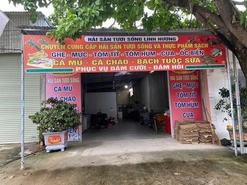 Hương mở cửa hàng kinh doanh hải sản nhằm tạo vỏ bọc để huy động vốn