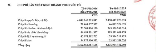 Chi phí khấu hao 6 tháng đầu năm 2026 của NT2 còn 76,51 tỷ đồng so với 343,54 tỷ đồng cùng kỳ, chi phí sửa chữa bảo dưỡng còn 84,49 tỷ đồng so với 183,58 tỷ đồng. Ảnh chụp Thuyết minh số 22 báo cáo tài chính quý 2/2026.