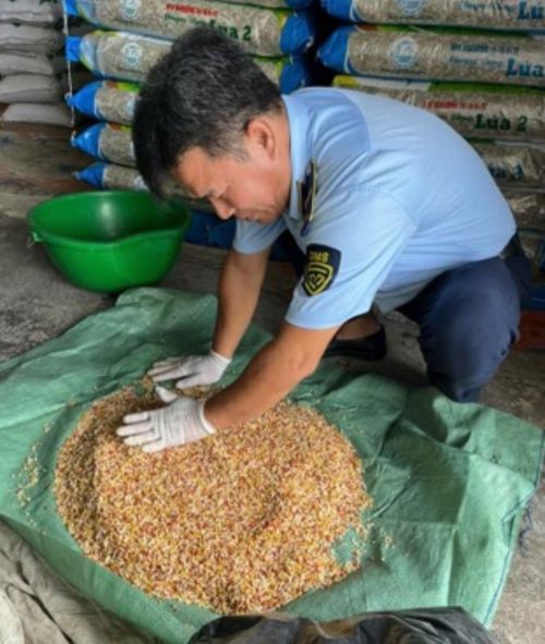  Cán bộ QLTT kiểm tra thực tế lô phân bón tại cơ sở kinh doanh. Ảnh: Chi cục Quản lý thị trường tỉnh An Giang 
