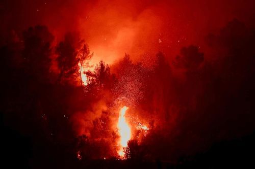 Cháy rừng gần Montfort-sur-Argens, tỉnh Var, Pháp trong đợt nắng nóng và hạn hán ngày 1-8. Ảnh: Reuters