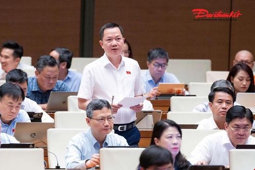 Đại biểu Trịnh Xuân An phát biểu (Ảnh: Quang Vinh)