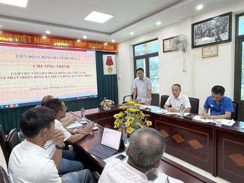Phó Chủ tịch VFF Trần Anh Tú phát biểu tại buổi làm việc