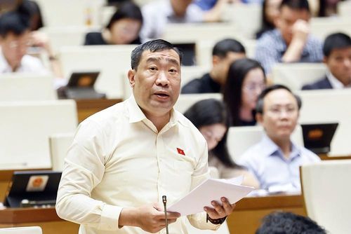 Đại biểu Quốc hội tỉnh Vĩnh Long Thạch Phước Bình phát biểu. Ảnh: Doãn Tấn - TTXVN