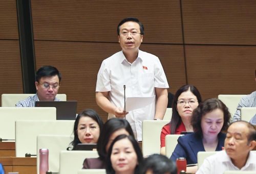 Đại biểu Quốc hội tỉnh Hưng Yên Nguyễn Đại Thắng phát biểu. Ảnh: Doãn Tấn - TTXVN
