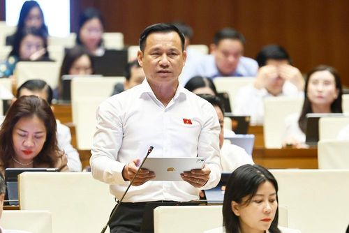 Đại biểu Quốc hội tỉnh Đắk Lắk Trần Quang Tâm phát biểu. Ảnh: Doãn Tấn - TTXVN
