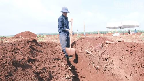 Chiến sĩ Đội K72 đào khảo sát tìm kiếm hài cốt liệt sĩ.