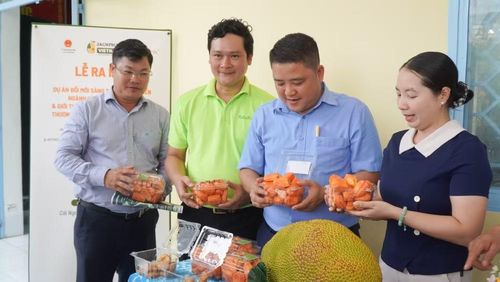Các đại biểu tìm hiểu sản phẩm từ trái mít tại xã Cái Ngang. (Ảnh: DUYÊN BÙI)
