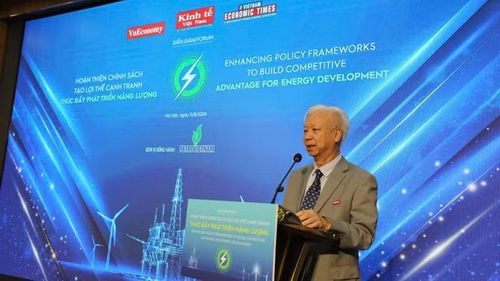 Tổng thư ký Hội Khoa học kinh tế Việt Nam, Phó Chủ tịch Hội đồng Biên tập, Tạp chí Kinh tế Việt Nam Đào Quang Bính phát biểu khai mạc diễn đàn.