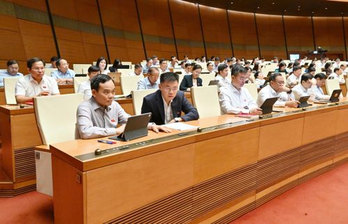  Bí thư Thành ủy TPHCM Trần Lưu Quang cùng các đại biểu tại phiên thảo luận. Ảnh: QUANG PHÚC 