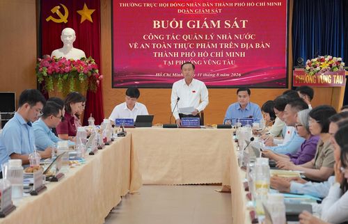  Đồng chí Huỳnh Thanh Nhân phát biểu kết luận tại buổi giám sát. QUANG HUY 