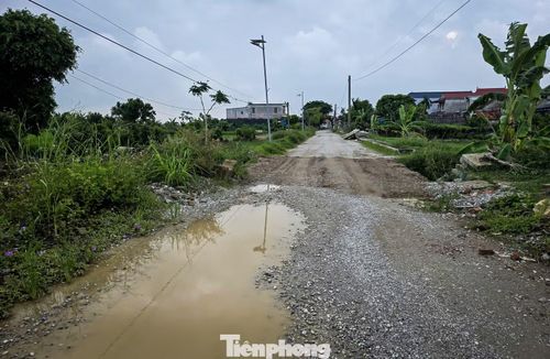 Trao đổi với phóng viên, đại diện UBND xã Liên Minh cho biết, địa phương đã nhận được phản ánh của người dân liên quan đến tiến độ thi công tuyến đường qua 2 thôn Vĩnh Tiên và Liên Hào. Theo vị này, tuyến đường nêu trên dài 3,6km, do Ban Quản lý dự án đầu tư xây dựng số 2 tỉnh Ninh Bình làm chủ đầu tư. Tiến độ thực hiện dự án đã được gia hạn đến tháng 11/2026. Trước phản ánh tuyến đường thi công ì ạch, UBND xã Liên Minh đã có văn bản đề nghị chủ đầu tư, đơn vị thi công đẩy nhanh tiến độ, sớm hoàn thiện công trình.