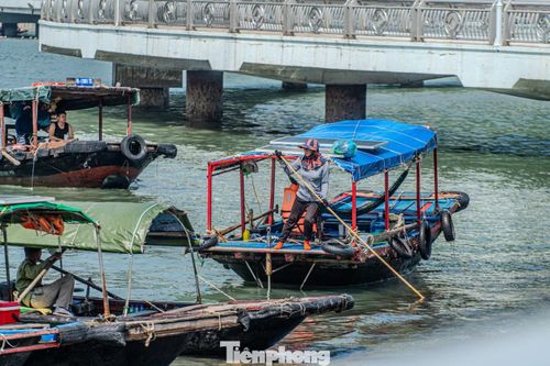 Trên biển, ngư dân tranh thủ thu hoạch hải sản trong cái nắng chói chang. Mặt biển như chiếc gương khổng lồ phản chiếu ánh nắng, khiến cảm giác nóng nực càng nhân lên gấp bội.
