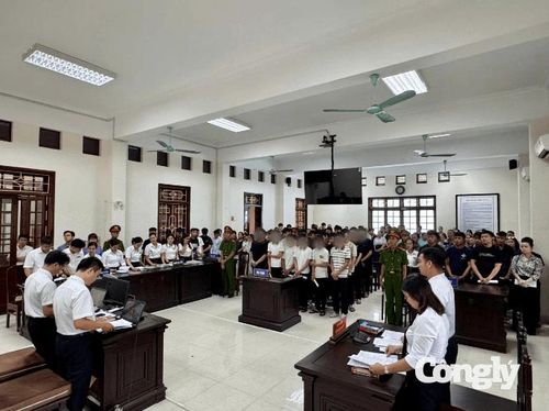Hồ sơ vụ án xác định đây là vụ đồng phạm giản đơn.