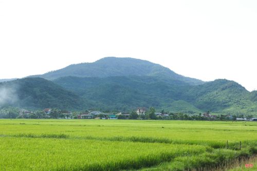Sau sáp nhập thôn, khu dân cư Tân Thành (thôn Quan Nam, xã Hồng Lộc) cách nhà văn hóa thôn hơn 3km.
