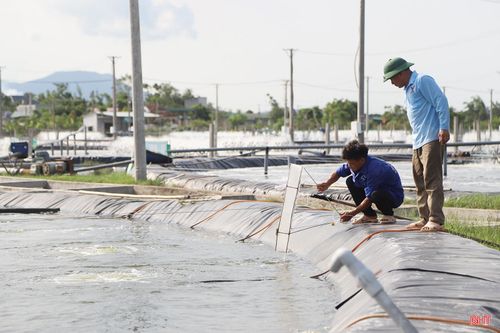 Công ty CP Thủy sản Long Vân đang tập trung các giải pháp chủ động ứng phó với diễn biến thời tiết.