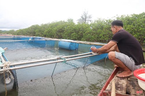 Ông Trần Văn Dũng chủ động gia cố lồng bè nuôi cá vược.